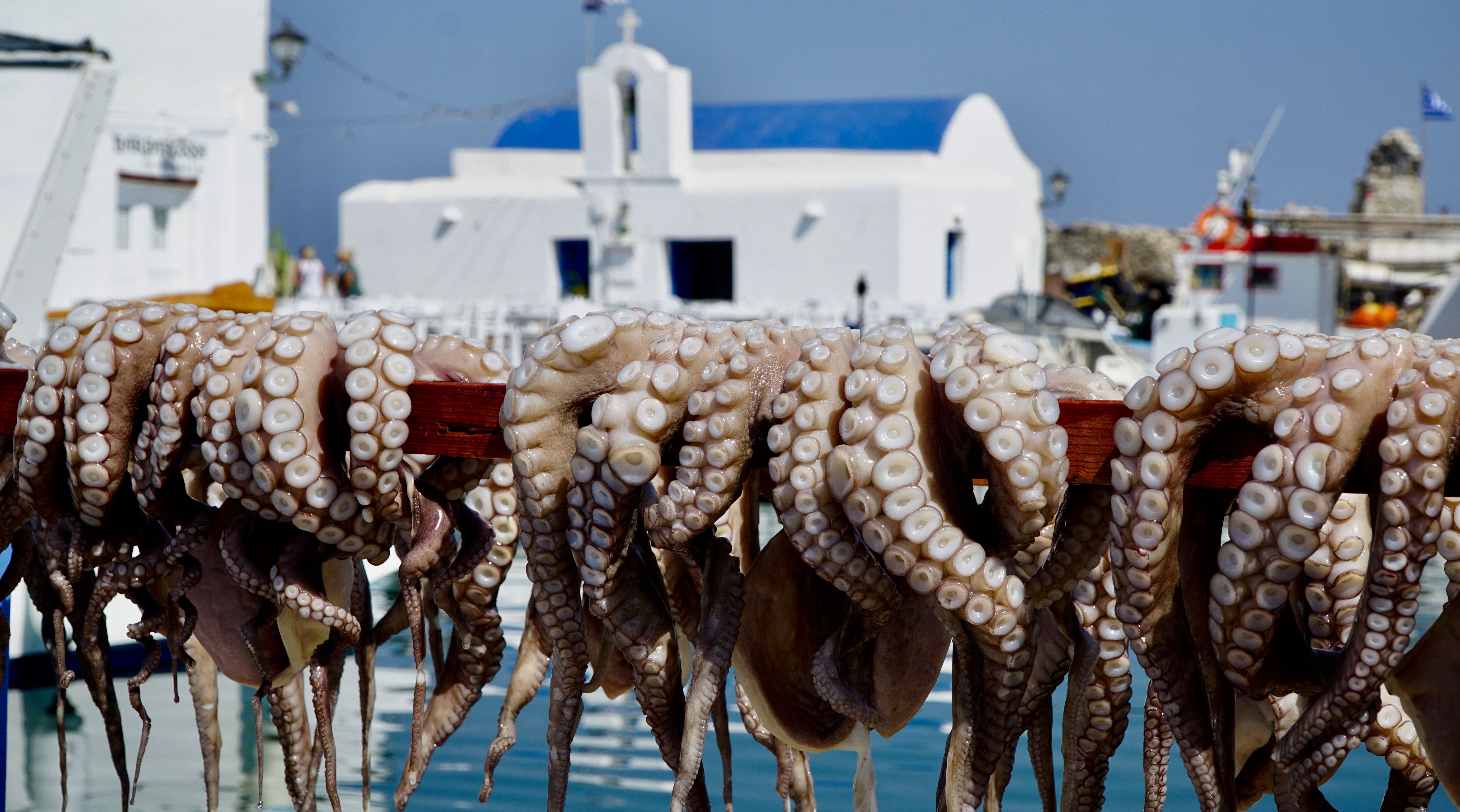 copertina articolo blog olio extravergine di Sicilia Bellapietra